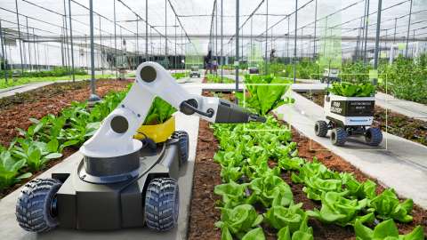 屋外環境で作物の世話をする、プライベート 5G ネットワークに接続されたスマート農業ロボット
